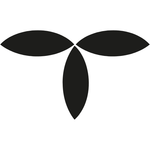 cropped favicon diana cano en femenino